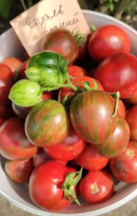 Nasivanky. Магазин крафтового насіння.Насіння овочів.Насіння помідорів.