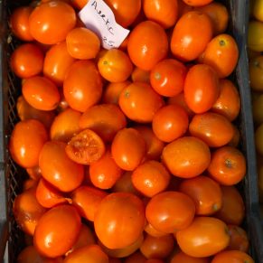 Насіння помідорів «Алекс» Nasivanky - 2