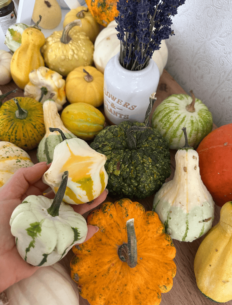 Насіння гарбуз-міні «Суміш декоративних сортів» Nasivanky Насіння гарбуз-міні «Суміш декоративних сортів» Nasivanky