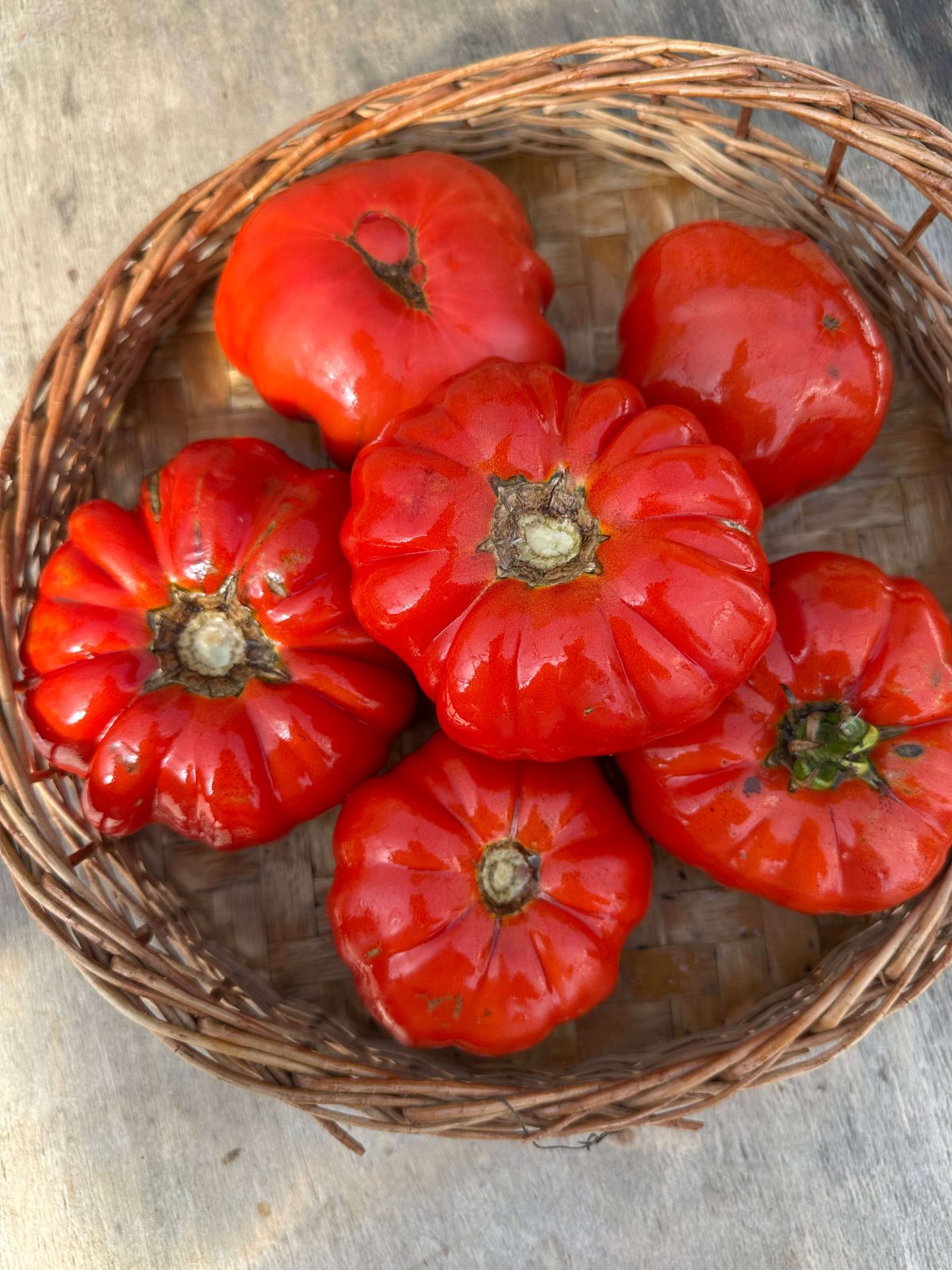 Насіння помідорів «Dutchman» Nasivanky - 2 Насіння помідорів «Dutchman» Nasivanky - 2