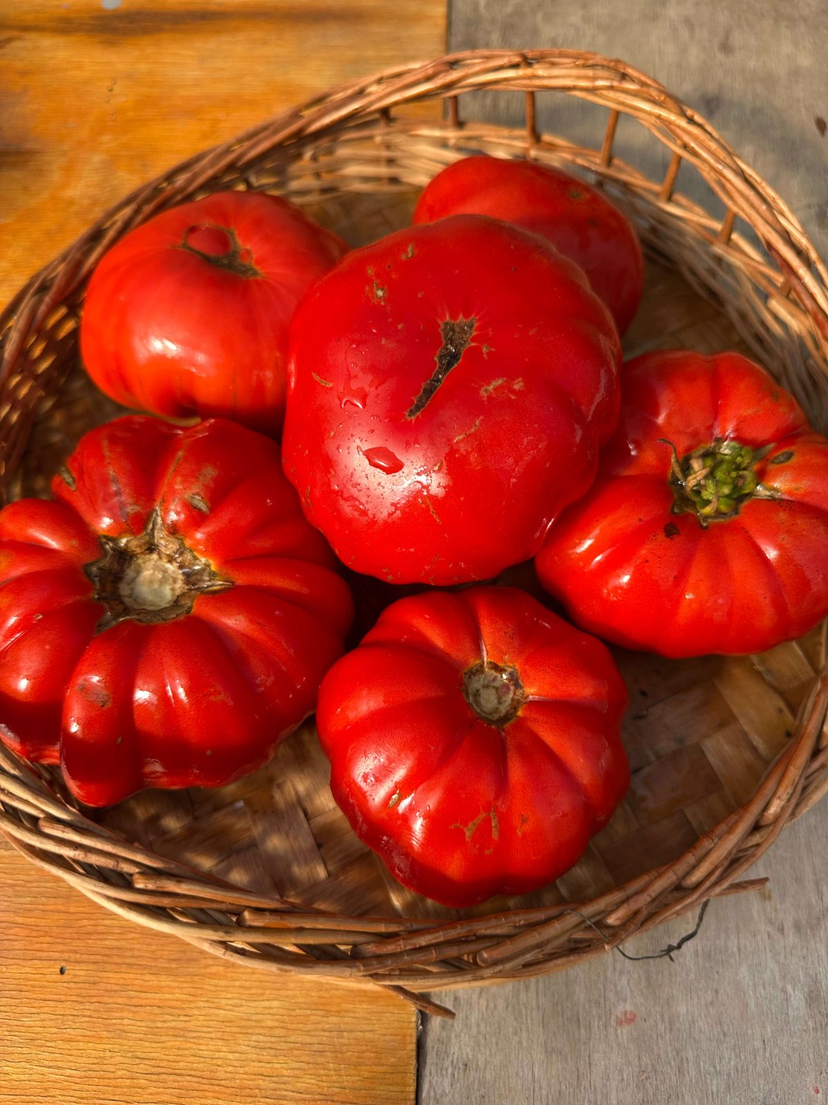 Насіння помідорів «Dutchman» Nasivanky Насіння помідорів «Dutchman» Nasivanky