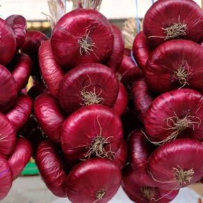 Насіння цибулі «Ялтинська» Nasivanky - 2