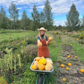 Насіння дині «Солодка компанія» Nasivanky - 2