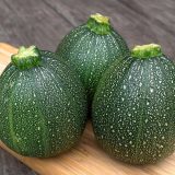 Насіння кабачка цукіні «Тондо ді П’яценза» Nasivanky