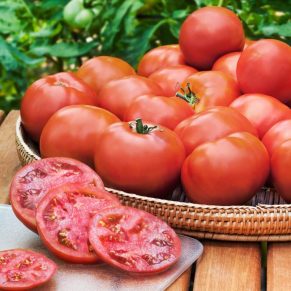 Насіння помідорів «Бакинський Червоний» Nasivanky - 2