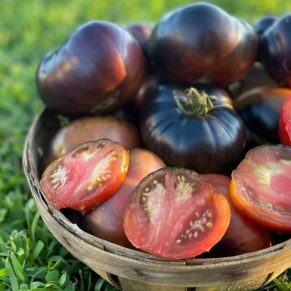 Насіння помідорів «Black Beauty» Nasivanky - 2