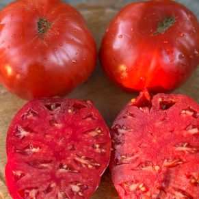 Насіння помідорів «Бугай» Nasivanky