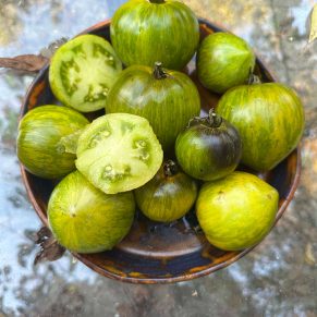 Насіння помідорів «Місячний Камінь» Nasivanky