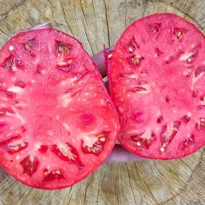 Насіння помідорів «Нове Чудо Землі» Nasivanky - 2