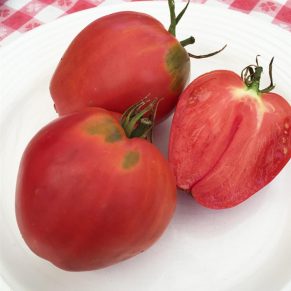 Насіння помідорів «Волове Серце» Nasivanky - 2