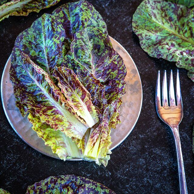 Насіння салату «Flashy Butter Gem» Nasivanky - 2