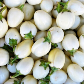 Насіння баклажана «White Eggs» Nasivanky