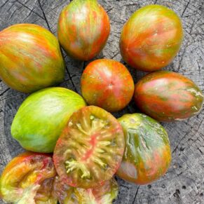 Насіння помідора «Кубинський Салямі» Nasivanky