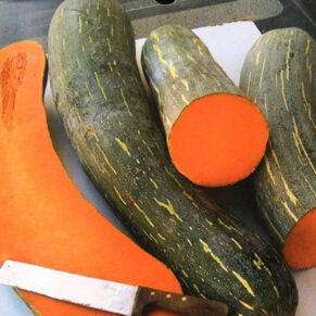 Насіння гарбуза «Пієно Лунга ді Наполі» Nasivanky