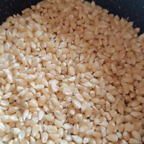 Насіння кукурудзи «White Pearl Popcorn» Nasivanky