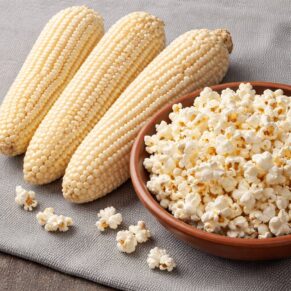 Насіння кукурудзи «White Pearl Popcorn» Nasivanky