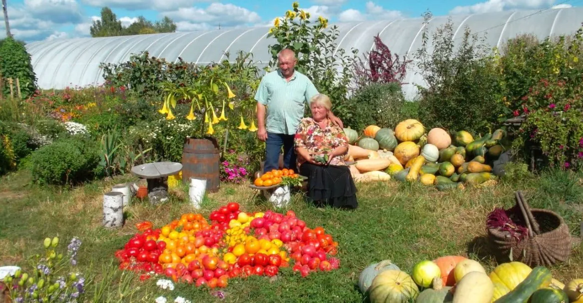 Харчовий кошик. Як виростити борщовий набір і ще трішечки більше? Частина 3.