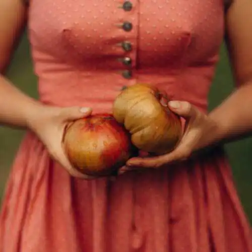 pomidora-chorniy_ananas Nasivanky. Магазин крафтового насіння.Насіння овочів