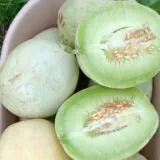 Nasivanky.Магазин. крафтового насіння. Родичі гарбузові.