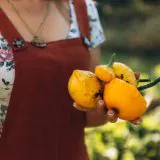 Nasivanky. Магазин крафтового насіння.Насіння патисона Сонячна Насолода