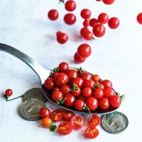 Nasivanky. Магазин крафтового насіння.Насіння помідорів Spoon