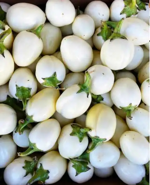 Насіння баклажана «White Eggs» Nasivanky Насіння баклажана «White Eggs» Nasivanky