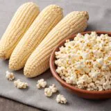 Насіння кукурудзи «White Pearl Popcorn» Nasivanky