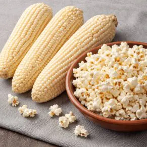 Насіння кукурудзи «White Pearl Popcorn» Nasivanky